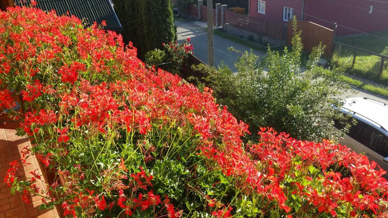 Hazanéző Panzió Acomodação com café da manhã Corund  Exterior foto